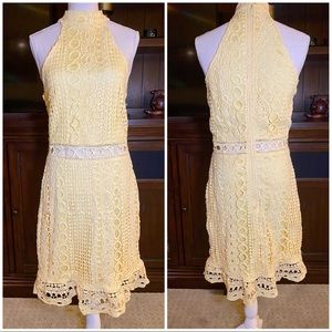Charlotte Russe Knit Yellow Dress